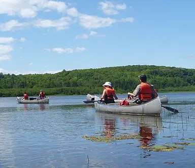 Boat: Ranger-led canoe tour on Little Beaver Lake (2f521698-e5bd-4dc2-b3ba-852b5aa914d3)